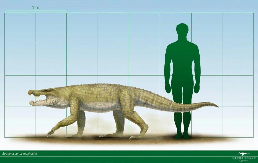 Каких размеров были динозавры. Dakosaurus andiniensis. динозавры по сравнению с человеком. размеры динозавров в сравнении с человеком. размеры динозавров по сравнению с людьми.
