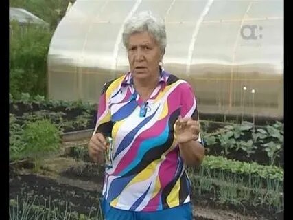 Голова садовая посадка чеснока