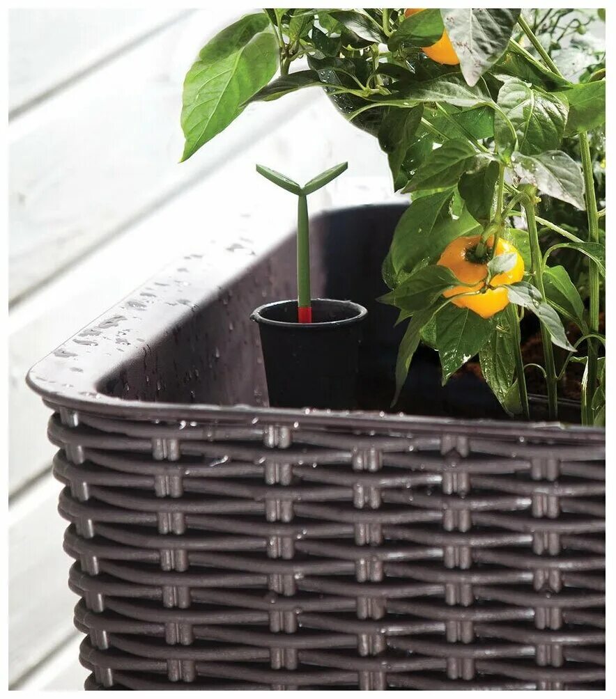 кашпо keter blenheim 238973. кашпо грядка. кашпо кетер. квадратные грядки кашпо. грядка кашпо пластиковая.