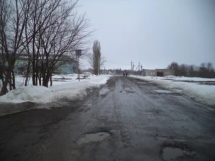 Куликовский новониколаевский волгоградская область