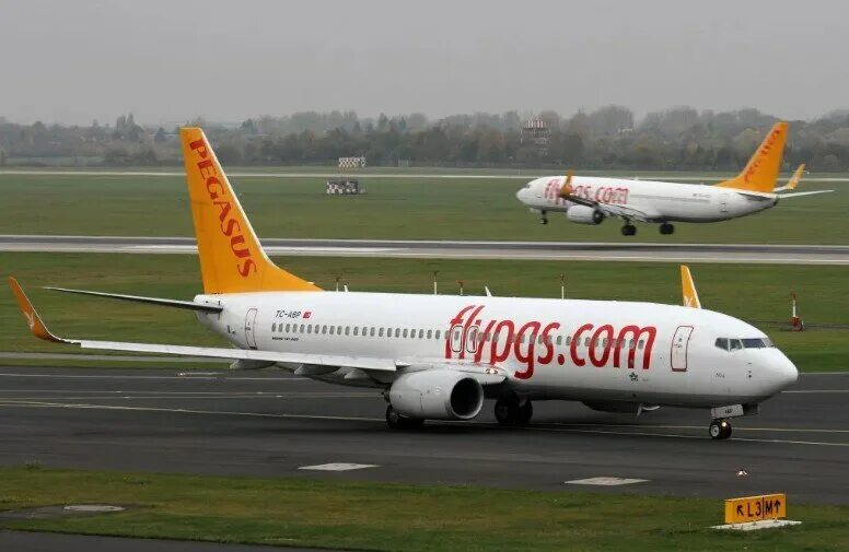 Pegasus airlines зарегистрироваться. Боинг 737-800 pegasus airlines. пегасус аэролайн. boeing 737-800 wl. пегасус эйрлайнс pc 1581 самолет.