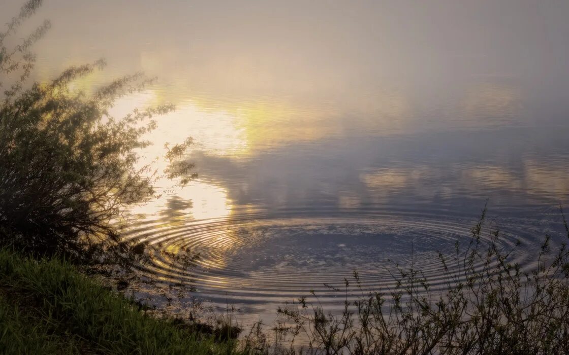 Так пускай холодным рассветом. Рассвет, круги на воде. Озеро рассвет круги на воде. Волны на пруду. Круги на воде фото.