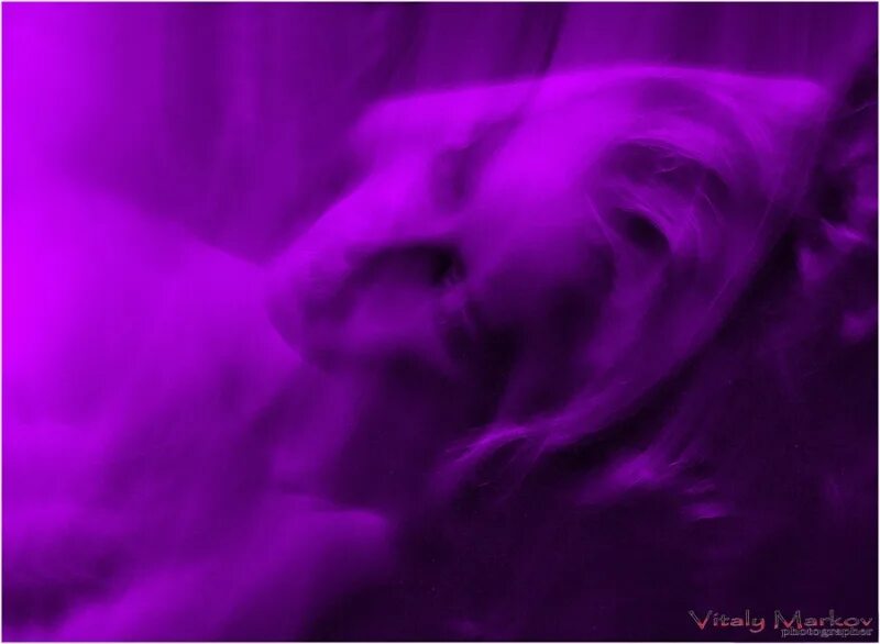 Вижу фиолетовый сны. Фиолетовые сны. монахи фиолетовом цвете. good sleep фиолетовый. сиреневые сны фото.