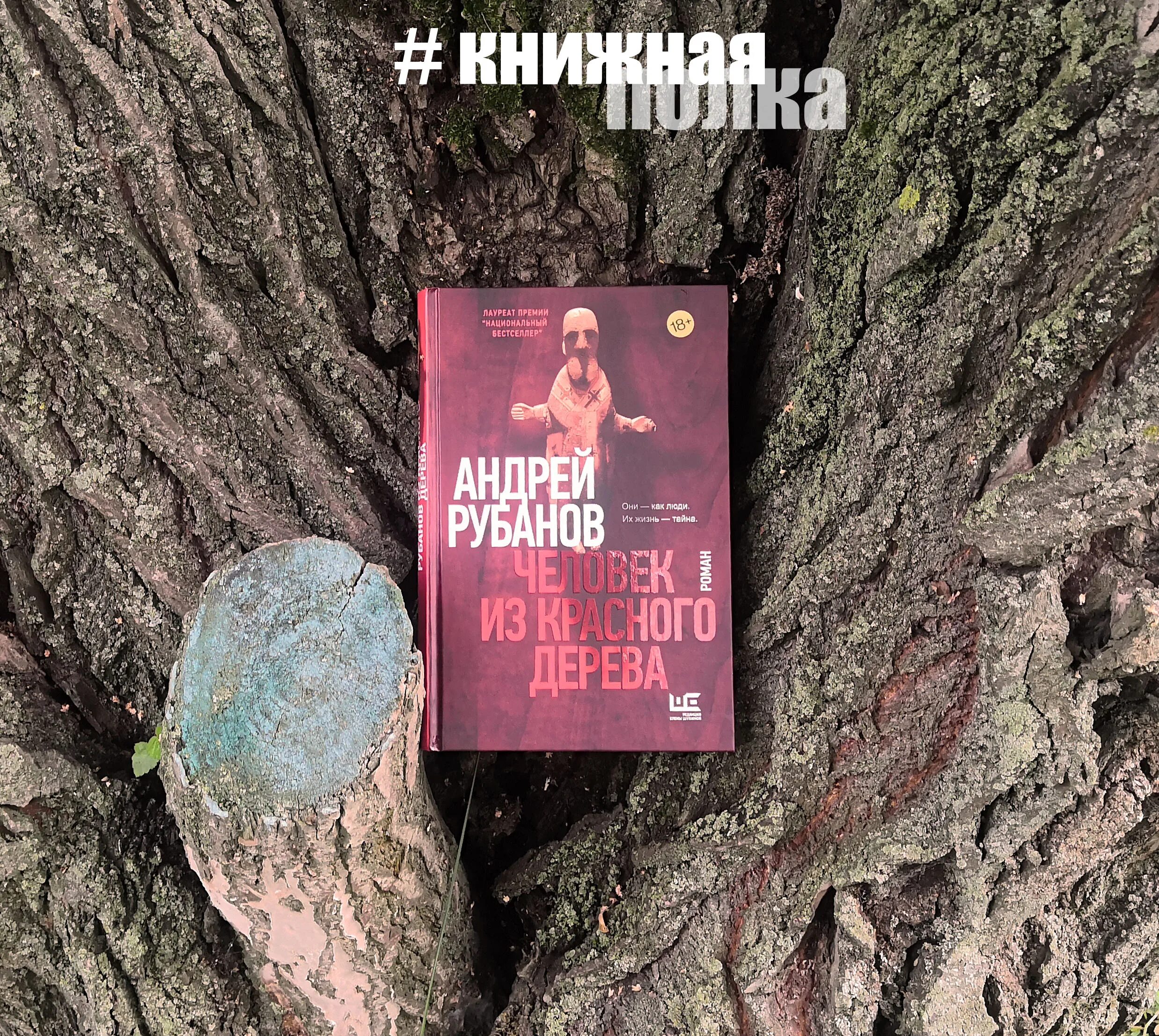 Рубанов человек из красного. Рубанов человек из красного. Человек из красного дерева андрей рубанов книга. Рубанов человек из красного. Андрей рубанов человек из красного дерева.