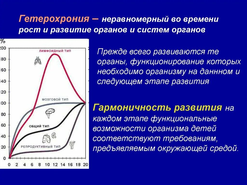 Гетерохрония. Гетерохрония в развитии организма человека. Гетерохронность и гармоничность развития. Гетерохрония роста и развития это.