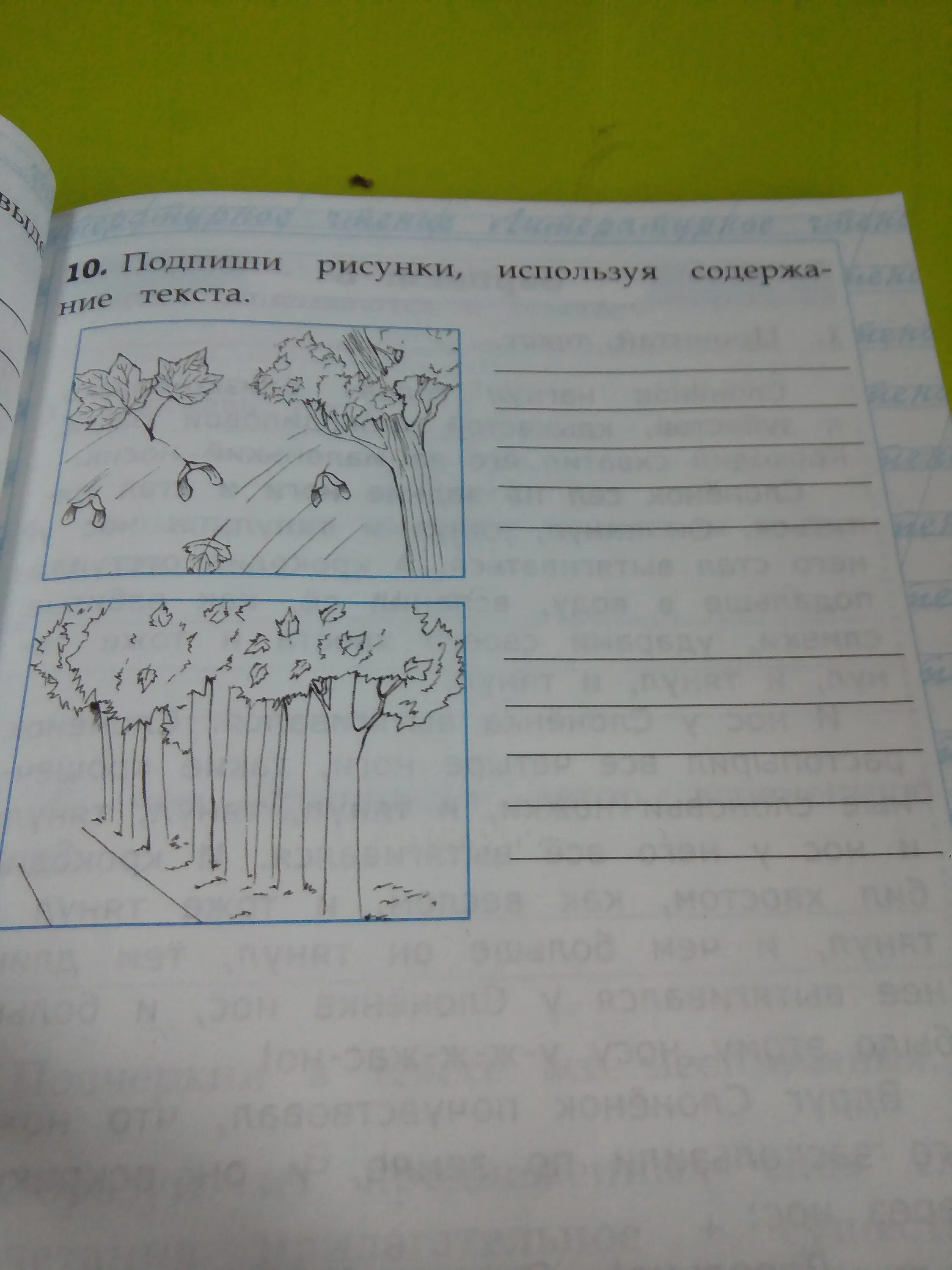 2 подпиши рисунок