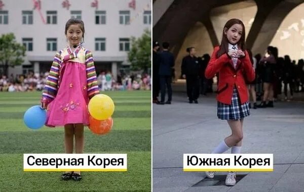 Северная и южная корея различия. Северные безлесные зоны презентация. Различие арктики и антарктики. Чем отличаются северные. Чем отличаются северные.