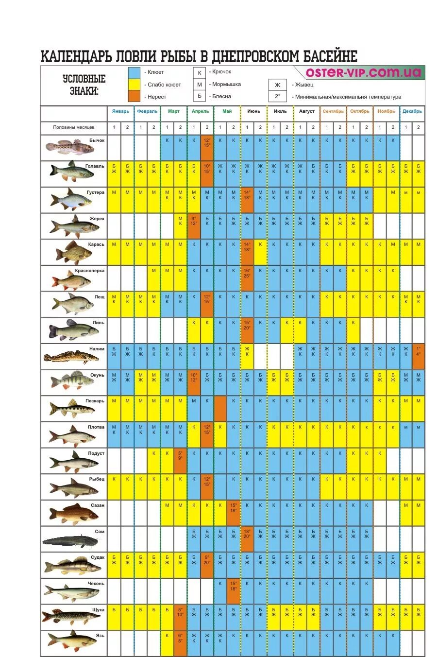 Время года ловли. Таблица давления ловли рыбы зимой. Календарь рыбака. Рыбный календарь. Календарь клева карася.