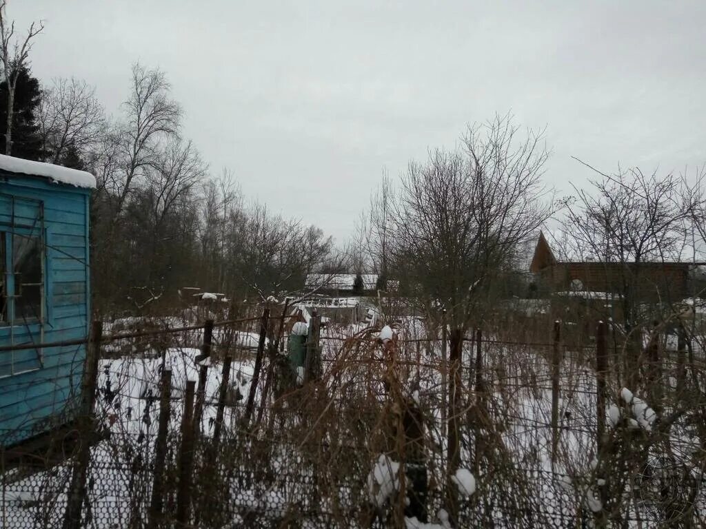 Снт лесное 1. СНТ "Лесные пруды" Ногинский. СНТ В городе. Климовск Лесной тупик. СНТ «Лесной 34».