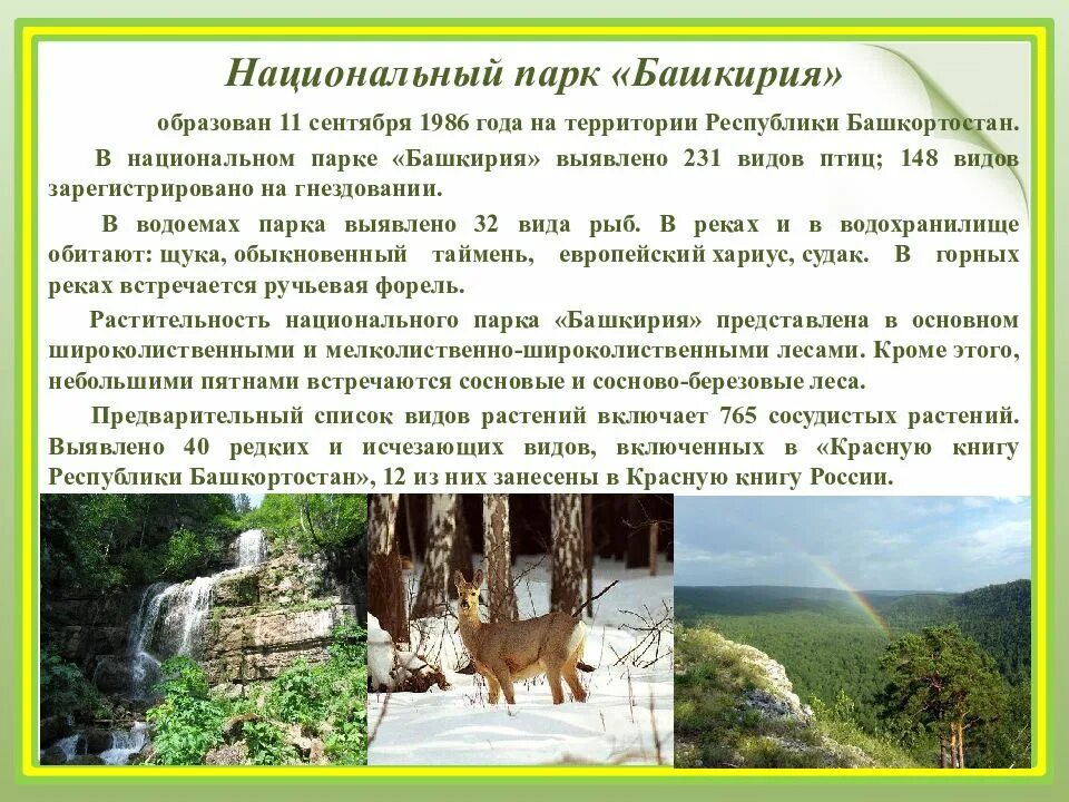 Башкирия рассказ. Национальные парки башкирия презентация. нац парки башкирии презентация. рассказ про национальный парк башкортостана. национальный парк башкирия рассказ.