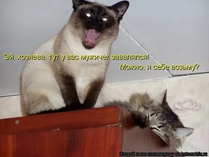 Пришел после ночной смены