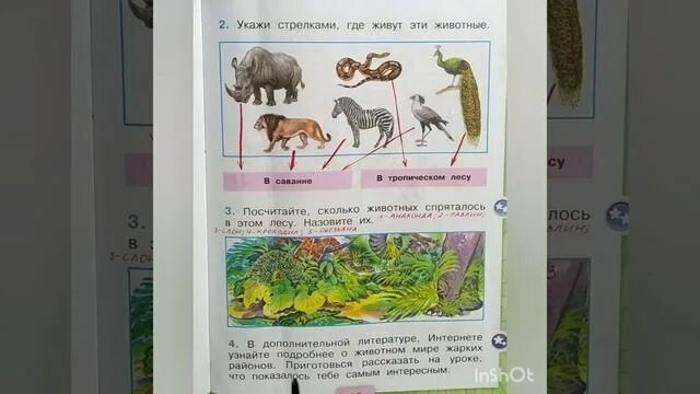 Окружающий мир рабочая тетрадь 2 класс моро. Окружающий мир рабочая тетрадь 2 часть. Окружающий мир 2 класс рабочая тетрадь 1 часть стр 42. Окружающий мир 2 класс 2 часть рабочая тетрадь номер 1. Окружающий мир 4 класс рабочая тетрадь 2 часть стр 60.