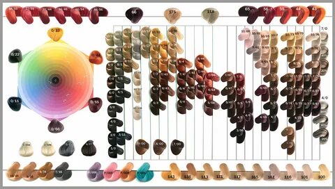 Киска өртеніп кетті