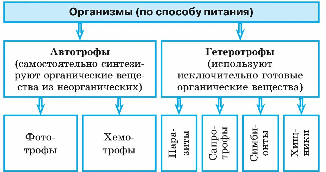 Какие различают по способу питания. Схема способы питания живых организмов. Классификация организмов по типу питания схема. 1. Тип питания живых организмов.. Типы питания организмов таблица.