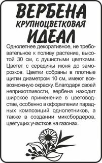Дачные советы семена алтая