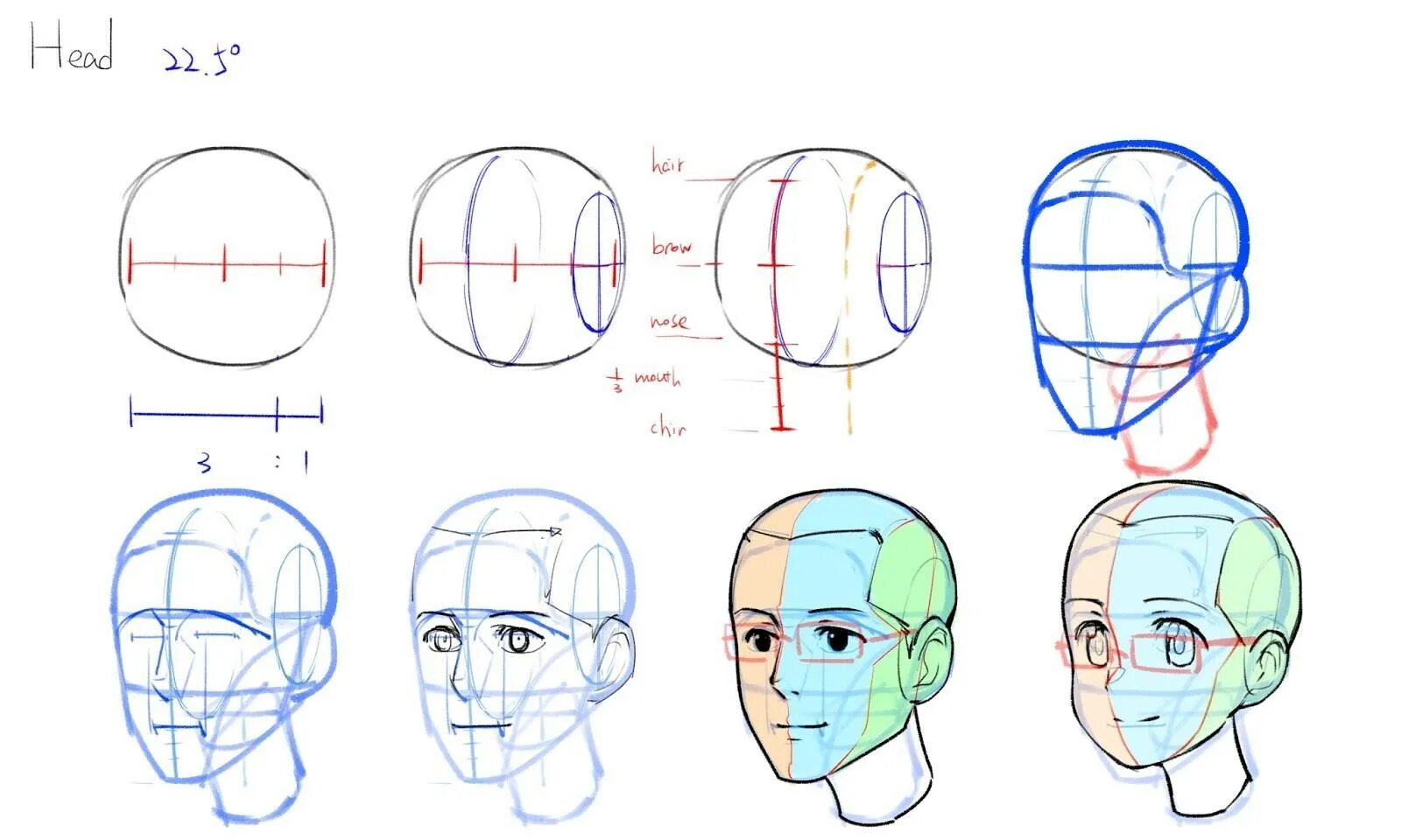 Drawing guides. Анатомия лица для рисования. Лицо человека анатомия рисунок.