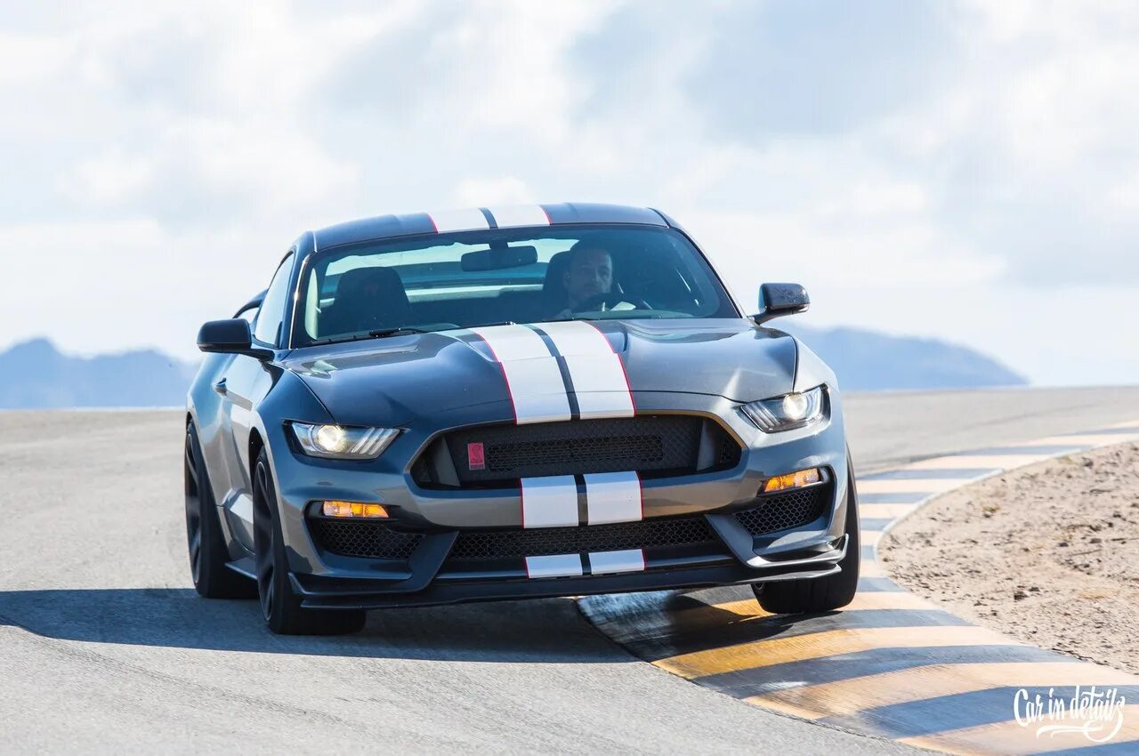 Ford Shelby gt350r. Ford Mustang Shelby gt350. Ford Mustang Shelby gt350 2015. Форд Мустанг Шелби gt 500. Mustang shelby gt