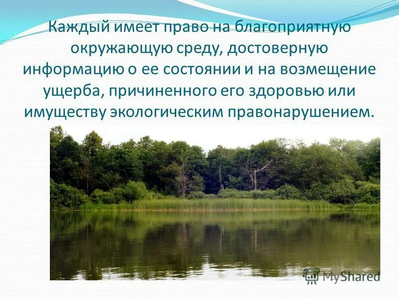 Каждый имеет право на благоприятную среду. Каждый имеет право на благоприятную среду. Каждый имеет право на благоприятную окружающую среду. Возмещение вреда причиненного экологическим правонарушением. Право на благоприятную окружающую среду статья.