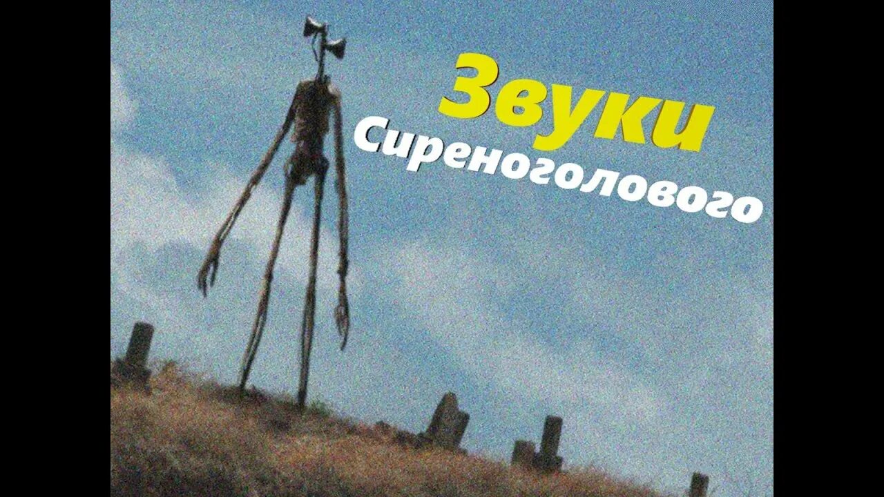 Серена сереноголовава. 8 Звуков сиреноголового. Звук сиреноголового звук. Сиреноголовый звук сиреноголового.