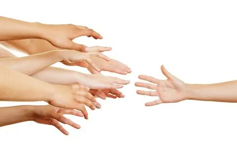 Our reach
