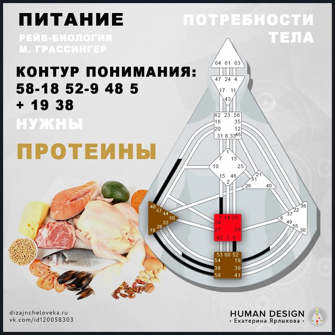 Мотивация дизайн человека. PHS система питания дизайн человека. Питание дизайн человека. Тип питания дизайн человека. Тона в дизайне человека.