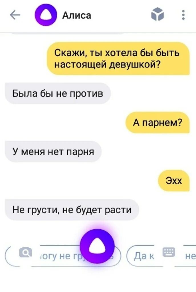 Алиса можно смешные. Смешные переписки с алисой. шутки про алису. шутки над алисой.