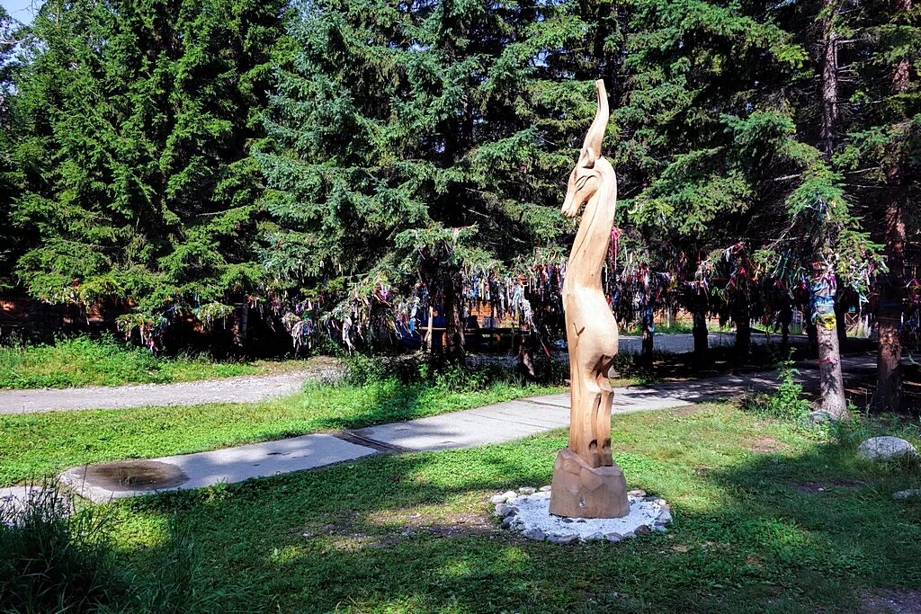 Шаман аршана распутин. Дэниел Аршан скульптор. Сосновый Бор Элиста Аршан. Аршан деревья с лентами. Дерево любви Аршан