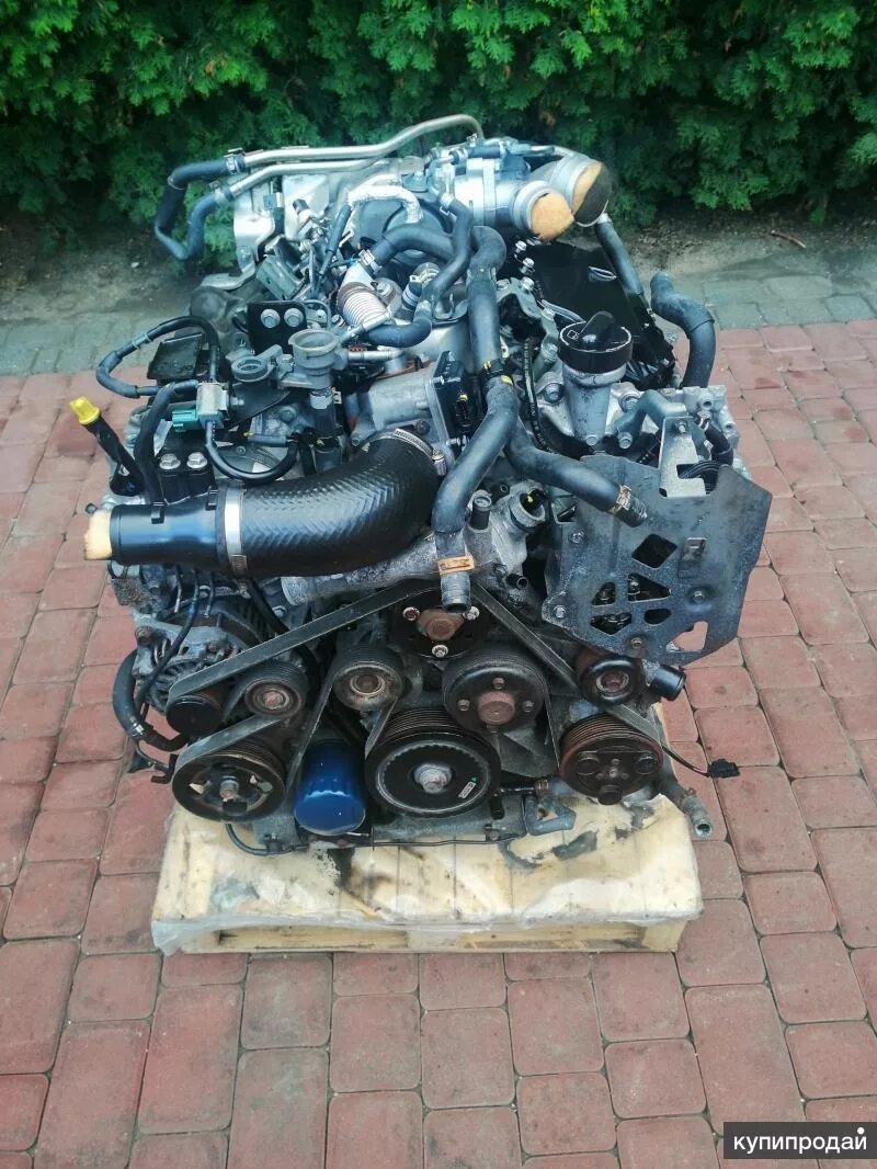 V9x двигатель infiniti. 0 дизель. Двигатель инфинити qx70 3. Двигатель nissan pathfinder 3. 0 дизель.