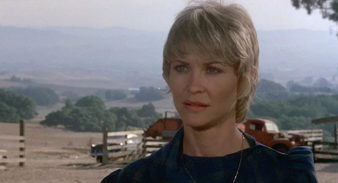 Ди уоллес. Ди уоллес cojo. ди уоллес-стоун dee wallace-stone.