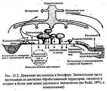 Миграция почва
