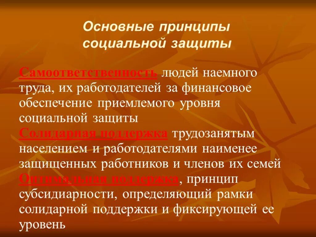 Принципы социальной защиты. Основные принципы социальной защиты. Базовые принципы социальной защиты. Принцип социальная защита человека. Работника и организации основывающееся на