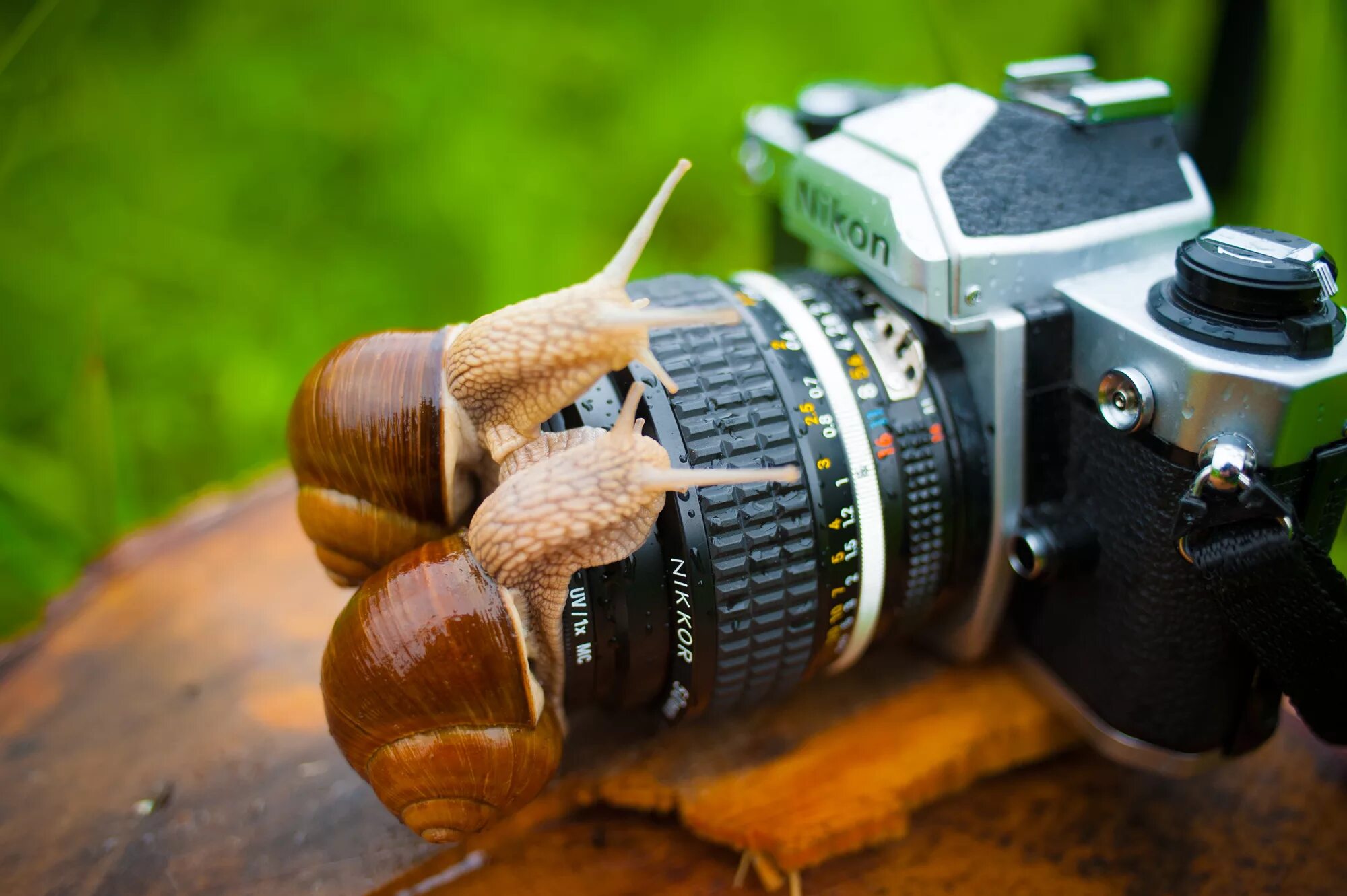 C c camera