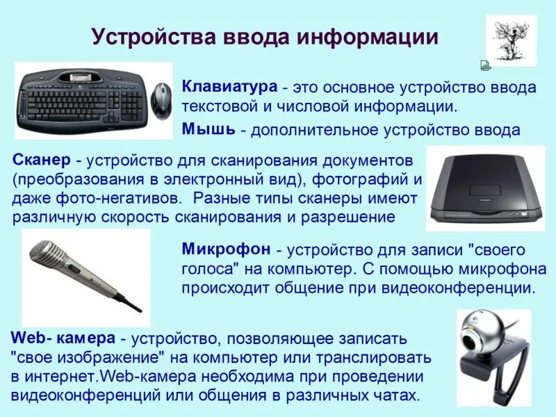 Устройство вывода 7 класс. Дополнительные устройства компьютера Информатика. Основные и дополнительные устройства. Устройства ввода и вывода информации. Устройства вывода и ввода информации Информатика.