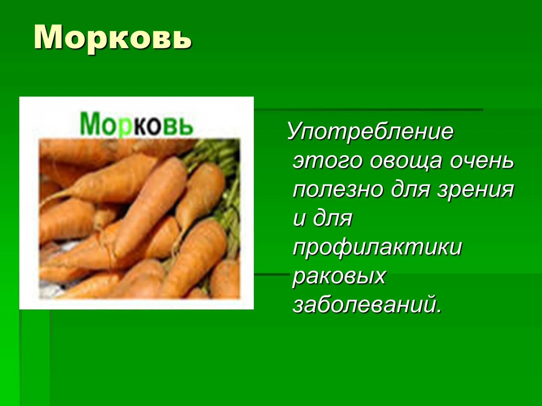 Сколько лет морковь про. Презентация на тему морковь. Морковь для презентации. Мрквоь информация для детей. Что полезного в моркови.