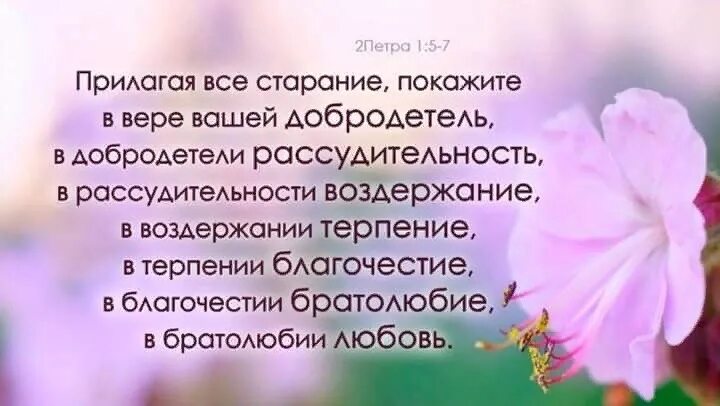 Со всем усердием и со всею ревностию