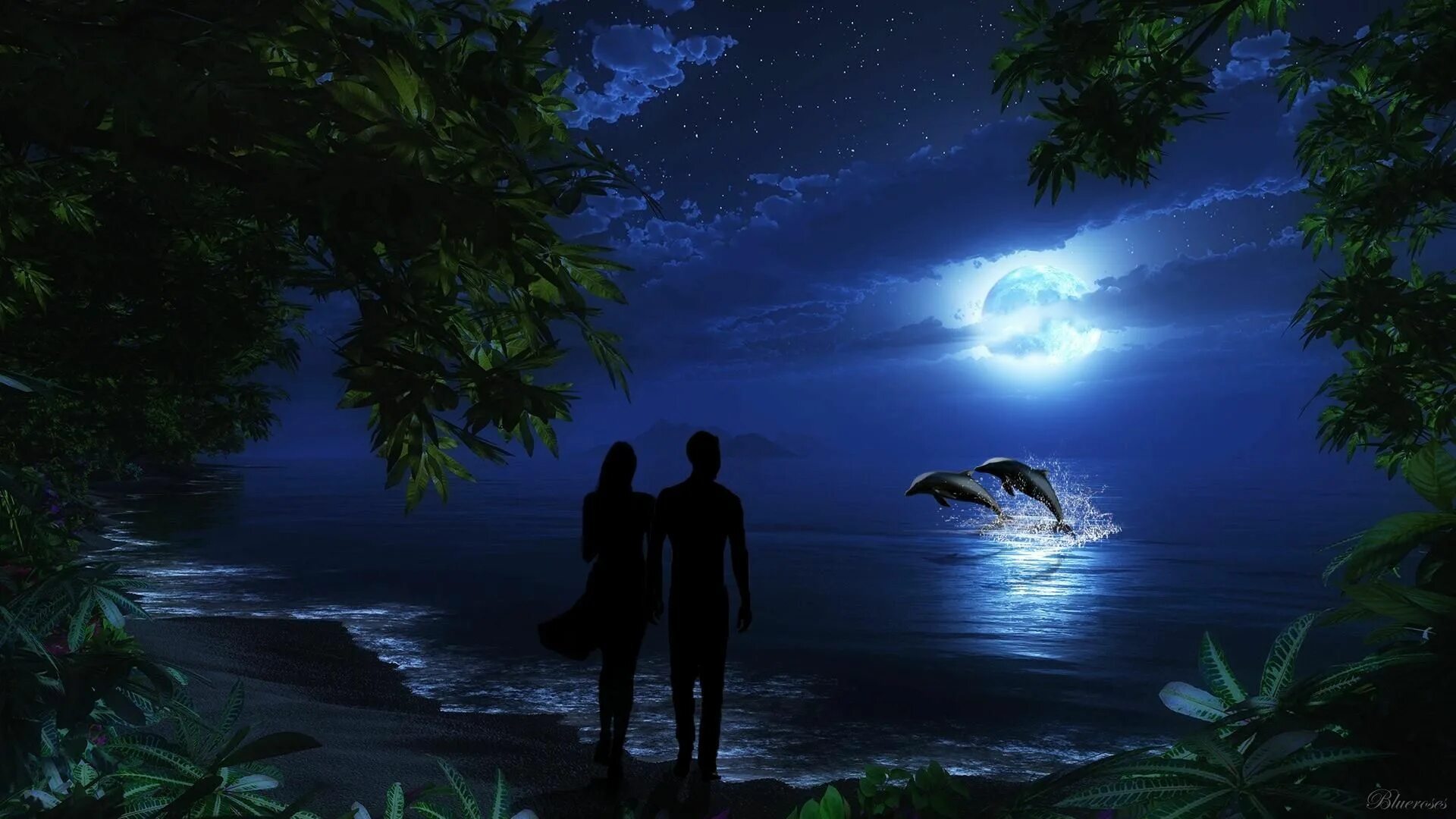 Свет луны свет волны. Лунная ночь любовь. Ночь любви. Лунная ночь романтика. Луна море романтика.