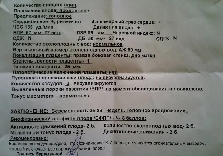 Толщина миометрия норма