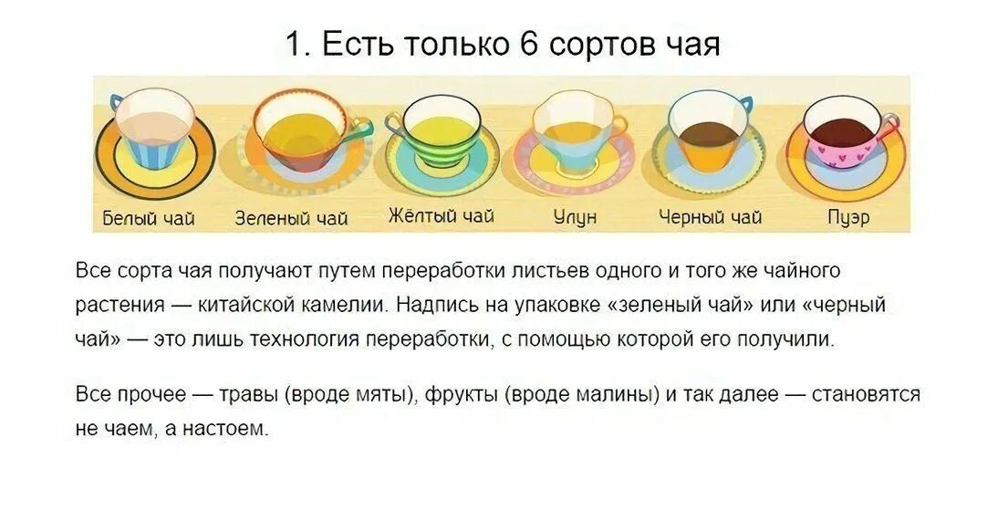 Интересные факты о чае. Как правильно пить чай. Интересное о чае. Любопытные факты чаепитие. С чем можно попить чай