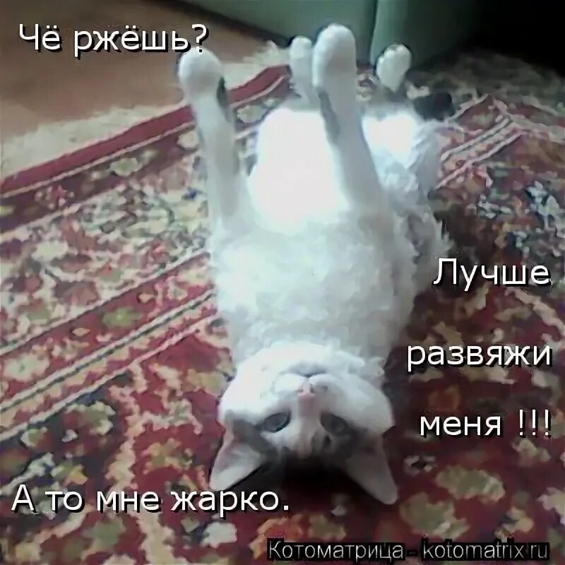 Космонавтка людмила сгоревшая в космосе. Мне жарко мне жарко я вижу пламя. Мне жарко мне жарко. Роботы в космосе презентация. Мемы про сауну.