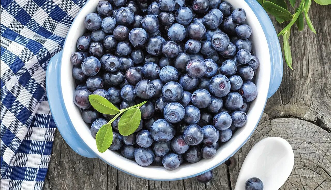 Черника ягода. Blueberry фф. Cr5000 blueberry. Голубика ягода. Блуберри это какая ягода.