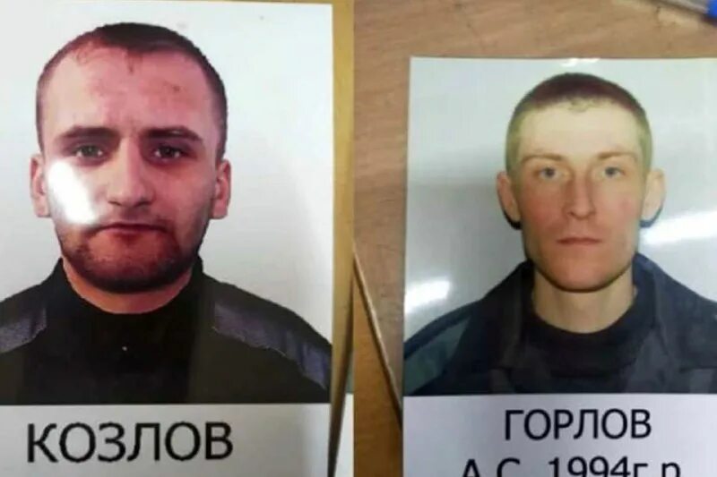 преступник рецидивист. сбежавшие зеки в новосибирске. беглые зеки. преступники красноярского края. лысый уголовник.