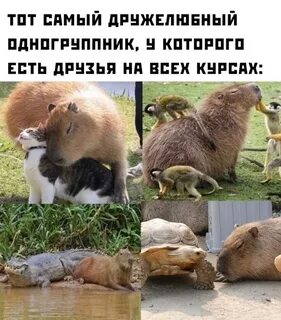Коллега самый