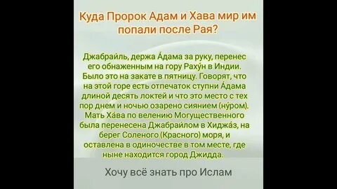 Рост пророков