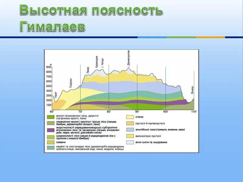 Высотная поясность Гималаев схема. Схема ВЫСОТНОЙ поясности в горах. Высотная поясность климат горы Гималаи. Схема ВЫСОТНОЙ поясности Альп.