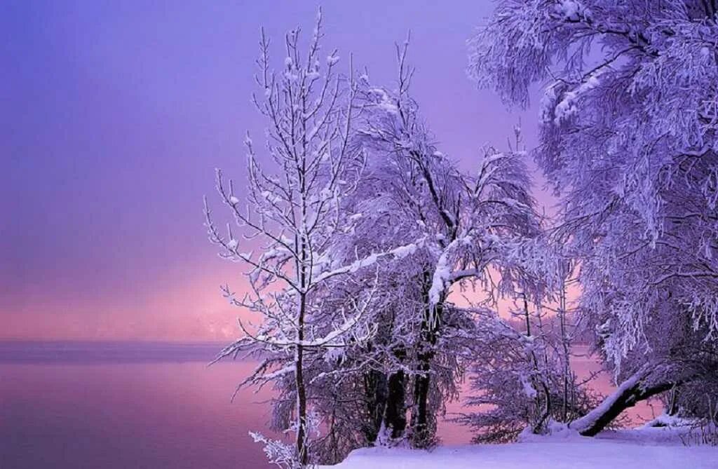 Красивые зимние картинки. Красивая зима. Зимний пейзаж. Красивые пейзажи зимы. Февральский пейзаж.