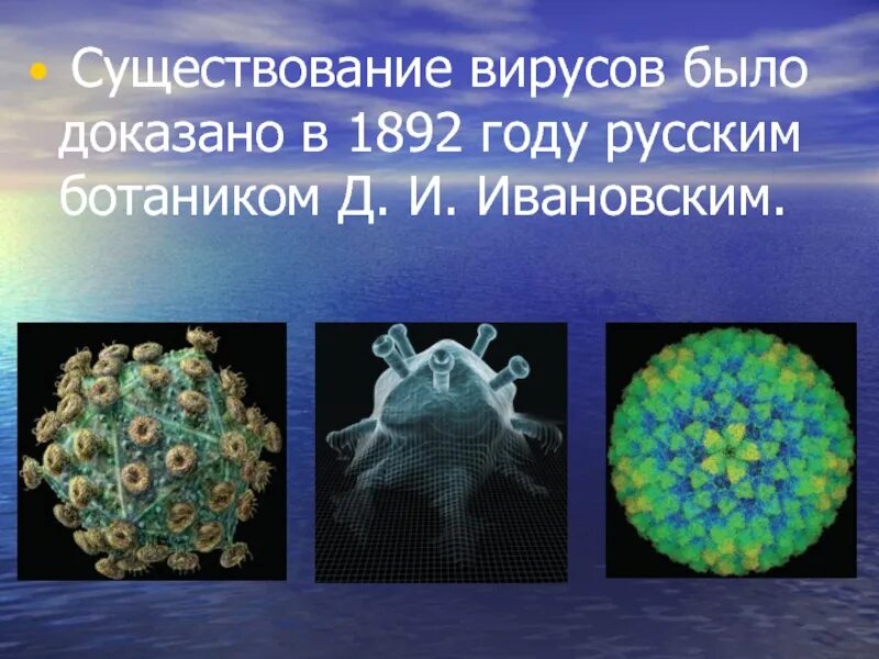 3 неклеточные формы жизни