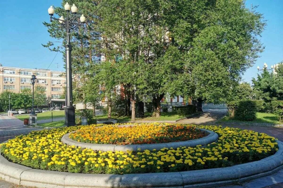 Хабаровск в марте. Территория хабаровского края. Хабаровск. Хабаровск летом. Хабаровск.