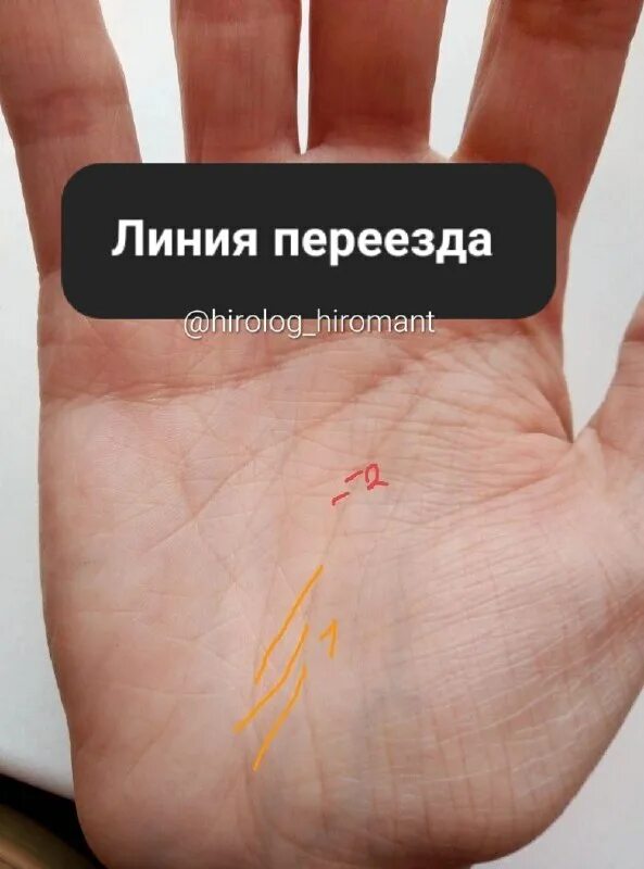 Линии на ладони. Хиромант описание. Хиромант описание. Хиромант 1. Справочник по хиромантии.