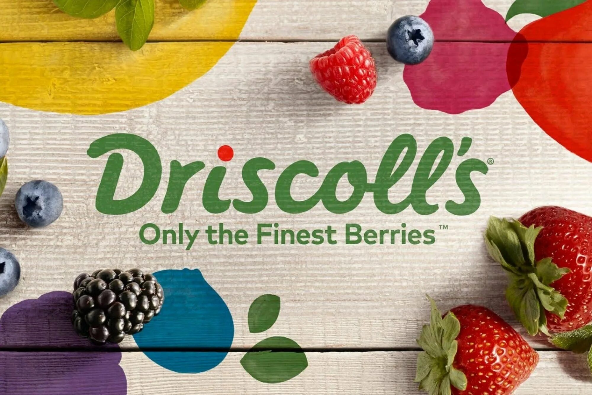 Berry бренд. Driscoll's. Ягода бренд. Логотип ягода. Once per