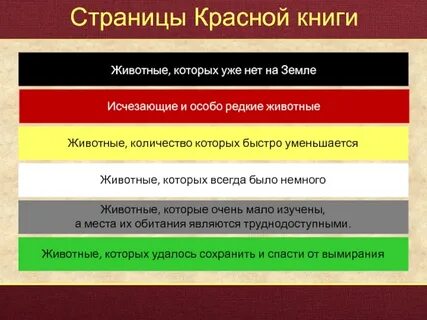Страницы красной книги что они обозначают